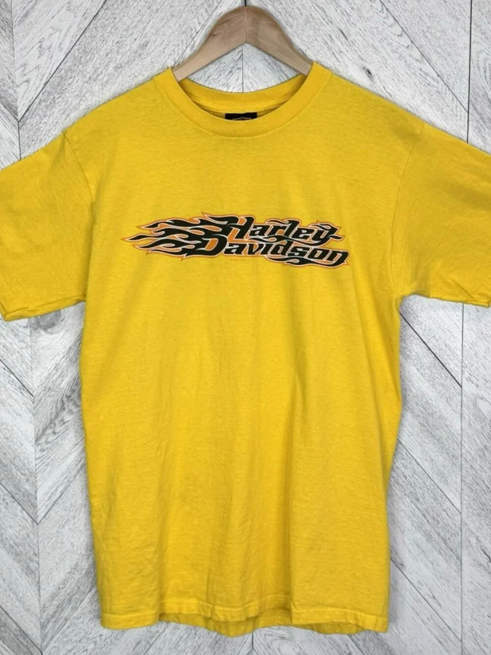 Vintage 90s Y2K Harley Davidson T-Shirt Tee Winnipeg Manitoba Buffalo Lone Star - Picture 8 of 8